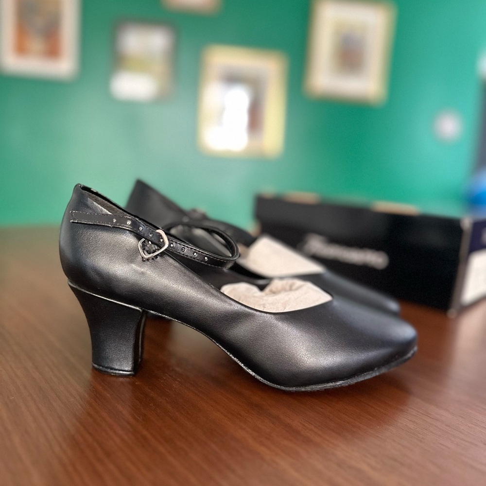TheatricalsPro Brand New Character Shoes - Black